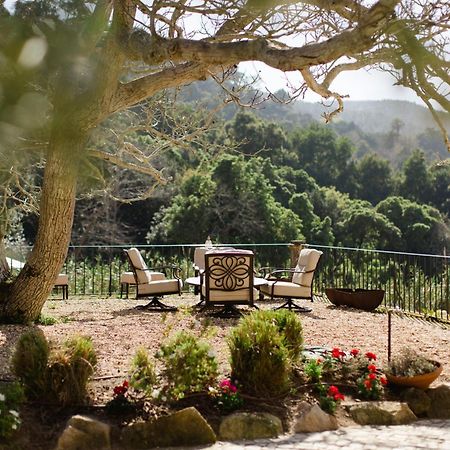 Quinta Da Bella Vista - Historic Home And Farm Sintra Exterior photo